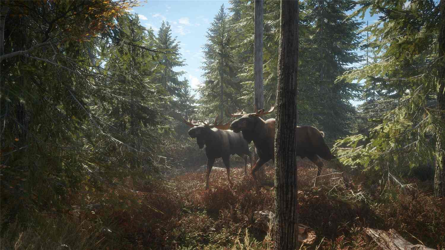 猎人:野性的呼唤/猎人:荒野的呼唤/theHunter: Call of the Wild