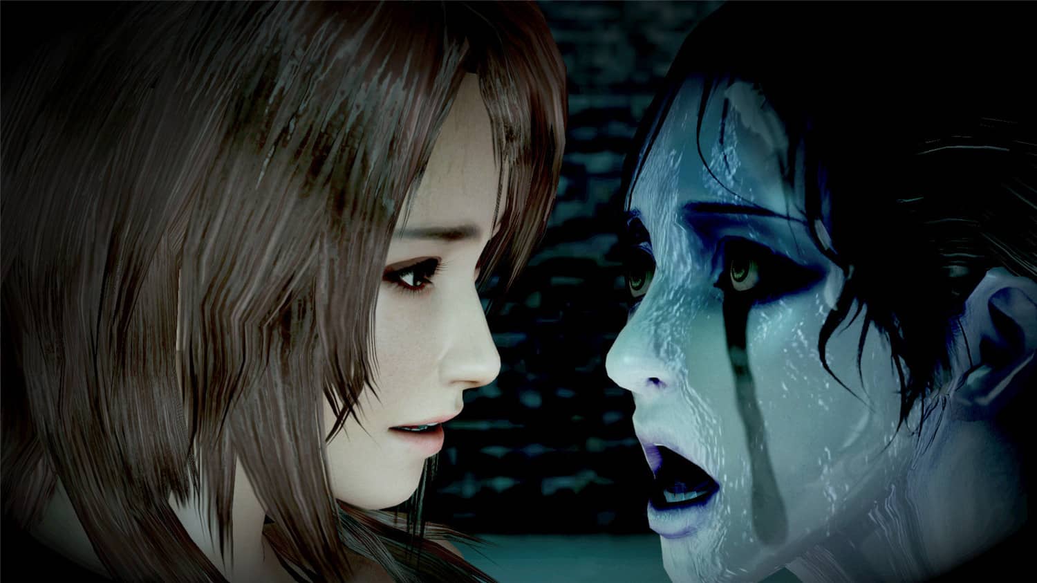 零:濡鸦之巫女/PROJECT ZERO: Maiden of Black Water