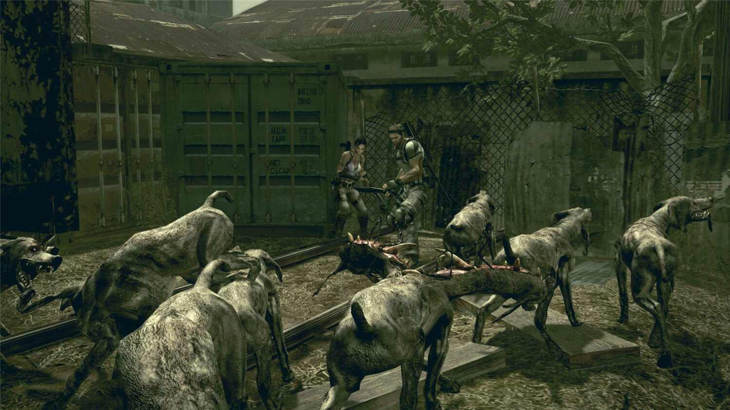 生化危机5:黄金版/Resident Evil 5:Gold Edition